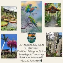 Jardín botánico